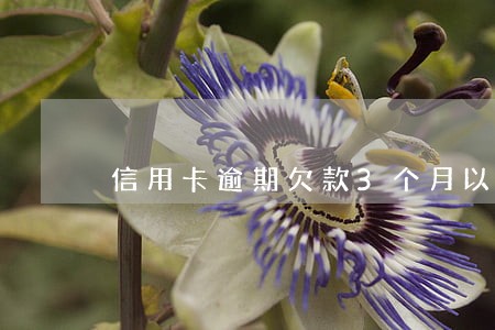 信用卡逾期欠款3个月以上