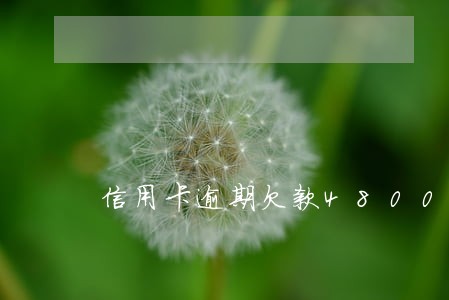 信用卡逾期欠款4800经侦 信用卡逾期欠款4800经侦