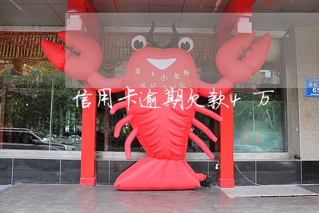 信用卡逾期欠款4万 信用卡逾期欠款4万