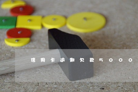 信用卡逾期欠款5000元 信用卡逾期欠款5000元