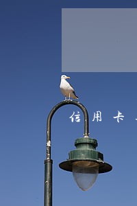 信用卡逾期欠款6000 信用卡逾期欠款6000