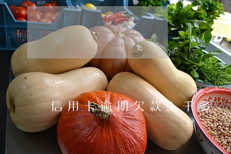 信用卡逾期欠款9千多 信用卡逾期欠款9千多