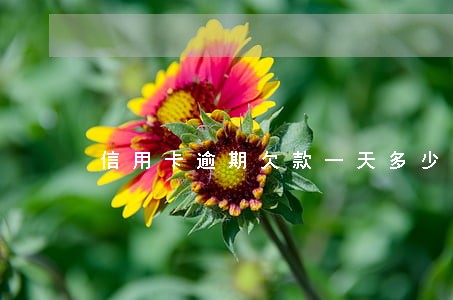 信用卡逾期欠款一天多少钱 信用卡逾期欠款一天多少钱