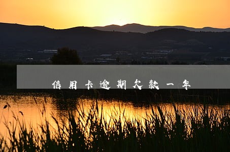信用卡逾期欠款一年