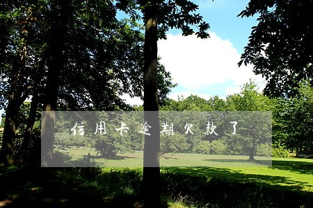 信用卡逾期欠款了 信用卡逾期欠款了
