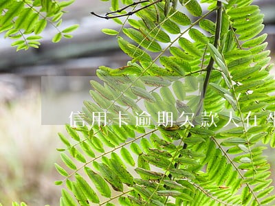 信用卡逾期欠款人在坐牢 信用卡逾期欠款人在坐牢