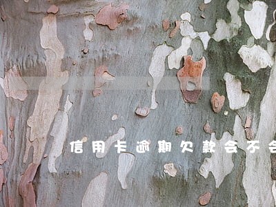 信用卡逾期欠款会不会冻结储蓄卡 信用卡逾期欠款会不会冻结储蓄卡