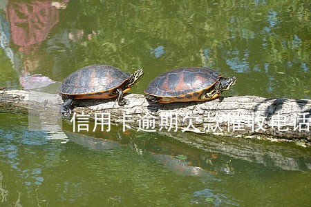 信用卡逾期欠款催收电话 信用卡逾期欠款催收电话
