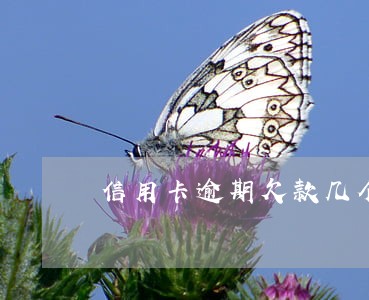 信用卡逾期欠款几个月 信用卡逾期欠款几个月