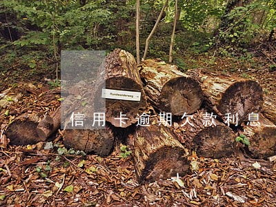 信用卡逾期欠款利息 信用卡逾期欠款利息