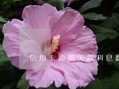 信用卡逾期欠款利息翻倍 信用卡逾期欠款利息翻倍