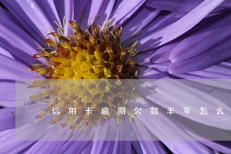 信用卡逾期欠款半年怎么处理 信用卡逾期欠款半年怎么处理
