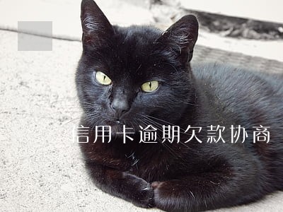 信用卡逾期欠款协商