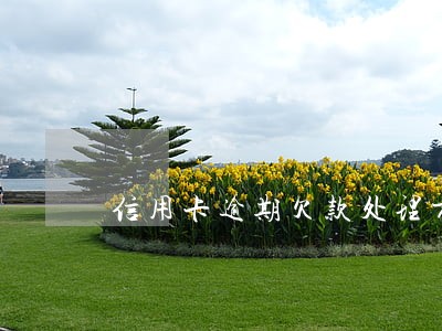 信用卡逾期欠款处理方法 信用卡逾期欠款处理方法