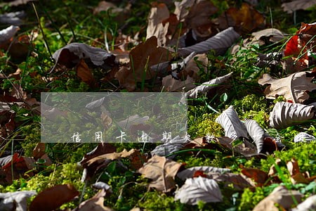信用卡逾期欠款多少会被起诉 信用卡逾期欠款多少会被起诉