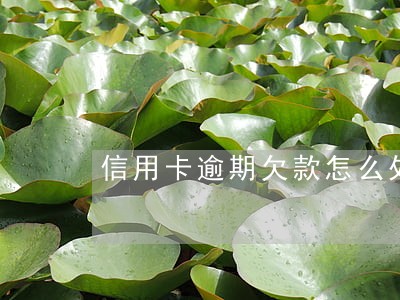 信用卡逾期欠款怎么处理 信用卡逾期欠款怎么处理