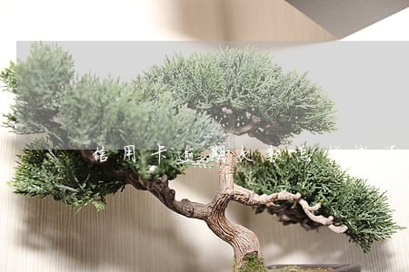 信用卡逾期欠款怎样撤诉 信用卡逾期欠款怎样撤诉