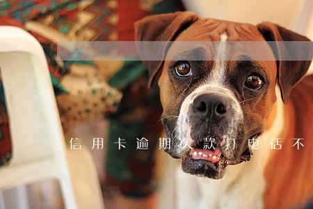 信用卡逾期欠款打电话不接 信用卡逾期欠款打电话不接