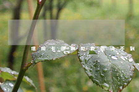 信用卡逾期欠款查询不到 信用卡逾期欠款查询不到