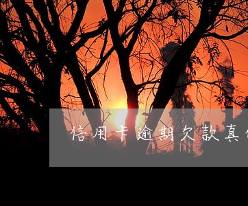 信用卡逾期欠款真的会坐牢吗