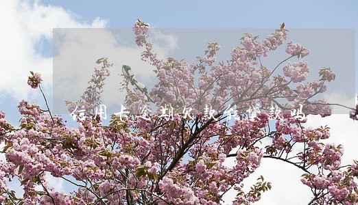 信用卡逾期欠款能贷款吗 信用卡逾期欠款能贷款吗
