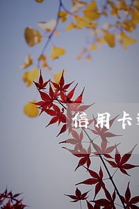 信用卡逾期欠款账户强制转入 信用卡逾期欠款账户强制转入