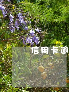 信用卡逾期欠款还一半 信用卡逾期欠款还一半