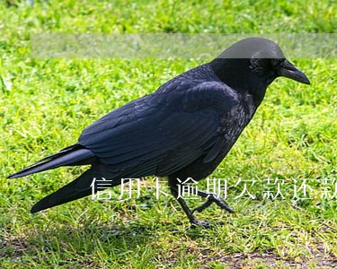 信用卡逾期欠款还款后果 信用卡逾期欠款还款后果
