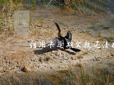 信用卡逾期欠款还清征信几年刷新 信用卡逾期欠款还清征信几年刷新