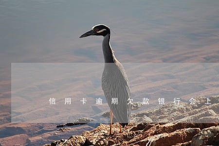 信用卡逾期欠款银行会上门 信用卡逾期欠款银行会上门