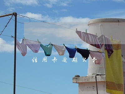 信用卡逾期欠费 信用卡逾期欠费