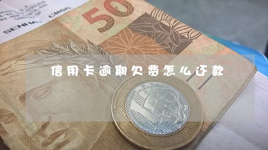 信用卡逾期欠费怎么还款 信用卡逾期欠费怎么还款