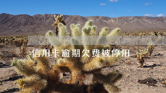 信用卡逾期欠费被停用