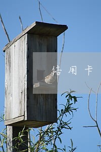 信用卡逾期次数20次 信用卡逾期次数20次