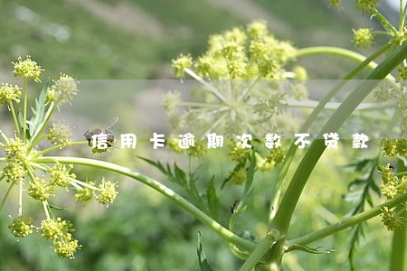 信用卡逾期次数不贷款 信用卡逾期次数不贷款
