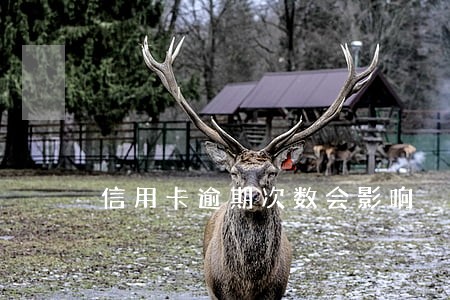 信用卡逾期次数会影响