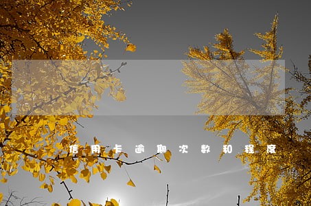 信用卡逾期次数和程度 信用卡逾期次数和程度