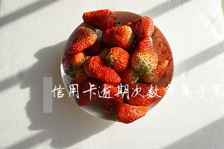信用卡逾期次数多属于黑户么 信用卡逾期次数多属于黑户么