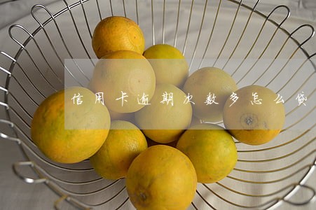 信用卡逾期次数多怎么贷款 信用卡逾期次数多怎么贷款