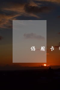 信用卡逾期次数太多了