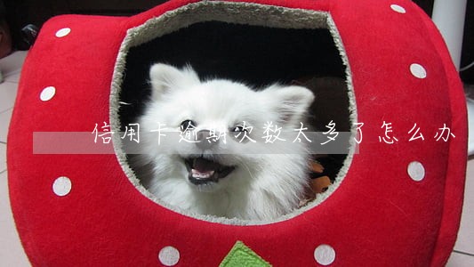 信用卡逾期次数太多了怎么办 信用卡逾期次数太多了怎么办