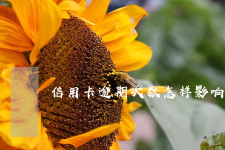 信用卡逾期次数怎样影响公积金 信用卡逾期次数怎样影响公积金