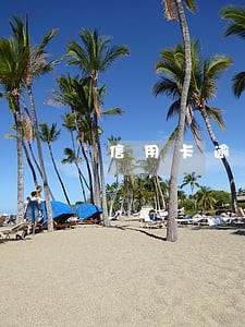 信用卡逾期次数计算 信用卡逾期次数计算