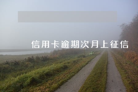 信用卡逾期次月上征信 信用卡逾期次月上征信