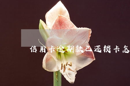 信用卡逾期款已还锁卡怎么办