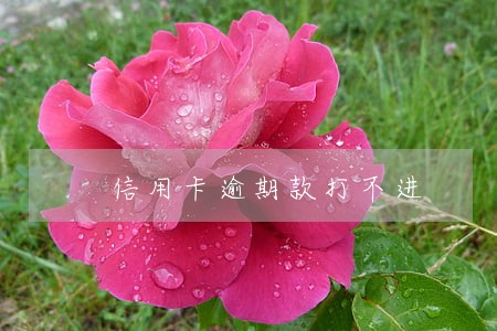 信用卡逾期款打不进 信用卡逾期款打不进