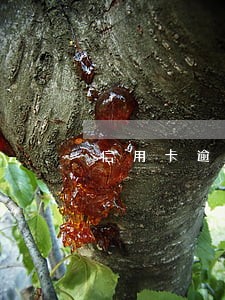 信用卡逾期款按多少计算