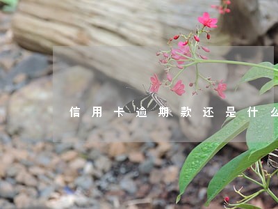信用卡逾期款还是什么情况 信用卡逾期款还是什么情况