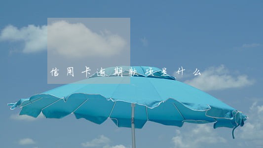 信用卡逾期款项是什么 信用卡逾期款项是什么