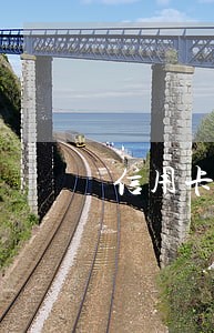 信用卡逾期歌曲 信用卡逾期歌曲